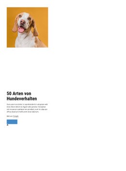 Qualitätskurse Für Hundeverhalten - Kostenlose Zielseite, Vorlage HTML5