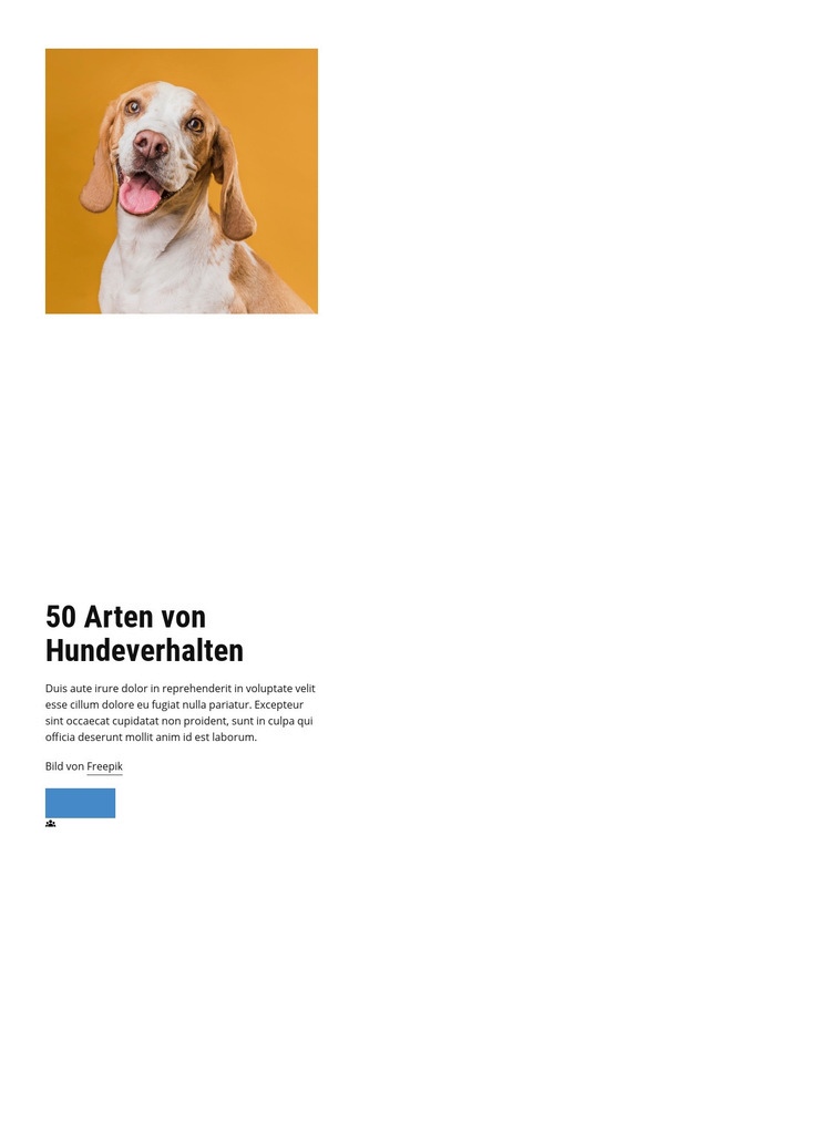 Qualitätskurse für Hundeverhalten Website-Modell