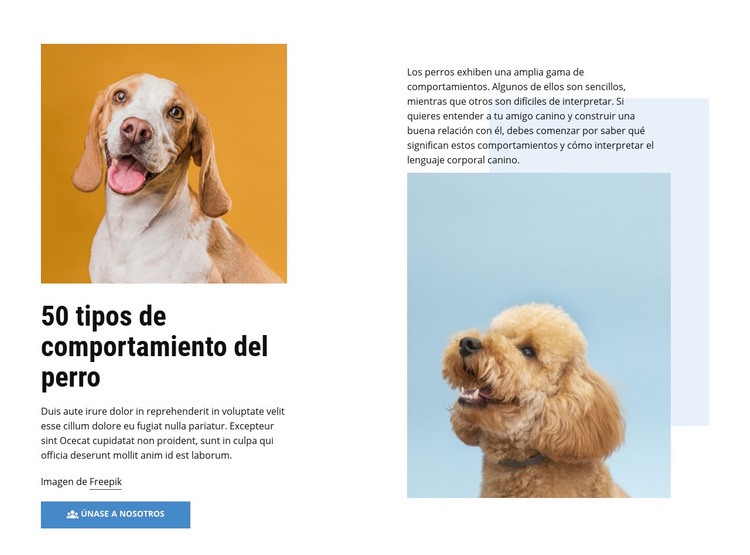 Cursos de comportamiento canino de calidad Creador de sitios web HTML