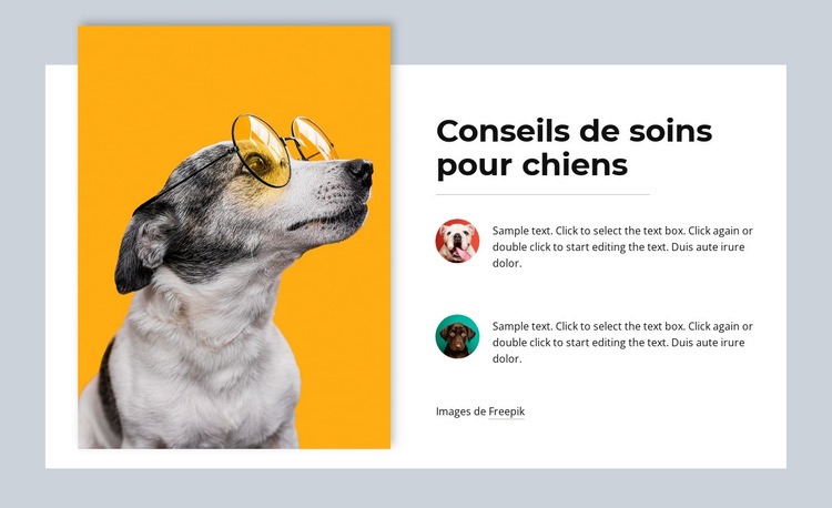 j'aime beaucoup les animaux Modèles de constructeur de sites Web