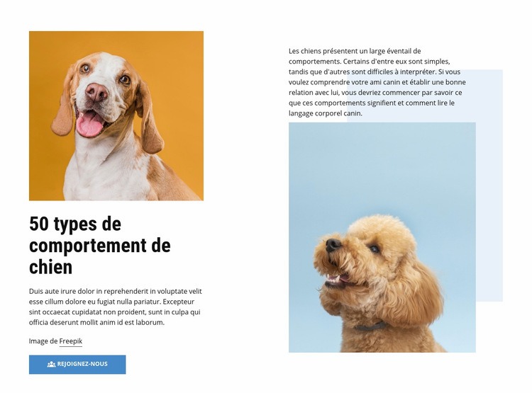 Cours de comportement canin de qualité Maquette de site Web