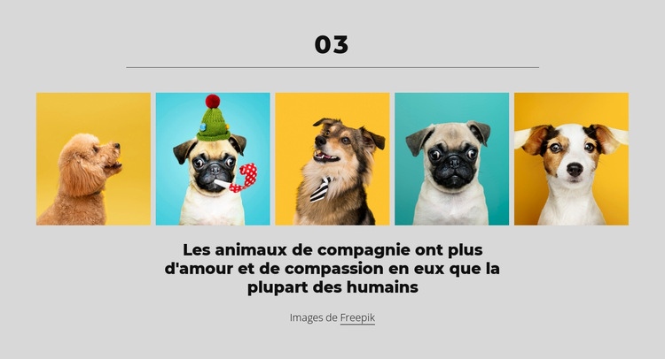 L'argent peut vous acheter un bon chien Modèle HTML5