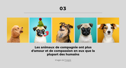 L'Argent Peut Vous Acheter Un Bon Chien