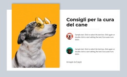 Amo Davvero Gli Animali