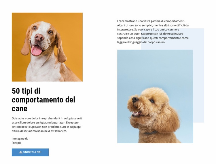 Corsi di qualità sul comportamento del cane Costruttore di siti web HTML