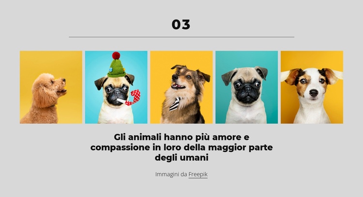 I soldi possono comprarti un bel cane Costruttore di siti web HTML