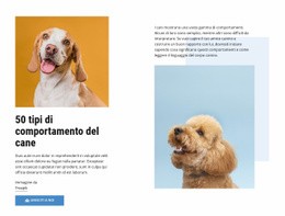 Corsi Di Qualità Sul Comportamento Del Cane - Modello Online