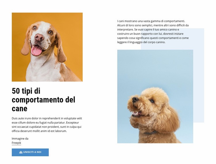 Corsi di qualità sul comportamento del cane Mockup del sito web