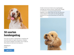 Kwaliteitscursussen Voor Hondengedrag - HTML-Sjabloon Downloaden