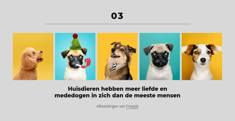 Met geld kun je een fijne hond kopen HTML-sjabloon