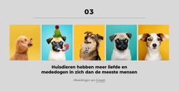 Premium HTML5-Sjabloon Voor Met Geld Kun Je Een Fijne Hond Kopen