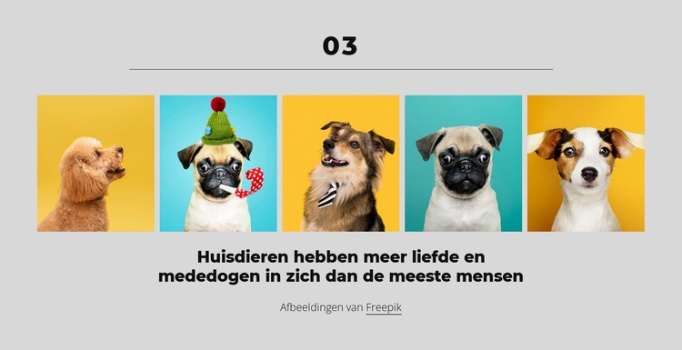 Met geld kun je een fijne hond kopen HTML5-sjabloon