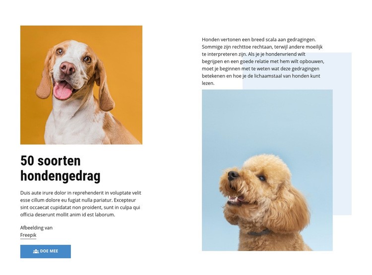 Kwaliteitscursussen voor hondengedrag Website mockup