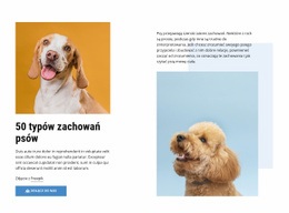 Jakościowe Kursy Zachowania Psów - HTML5 Website Builder