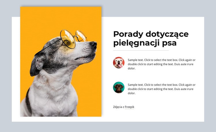 Naprawdę kocham zwierzęta Kreator witryn internetowych HTML