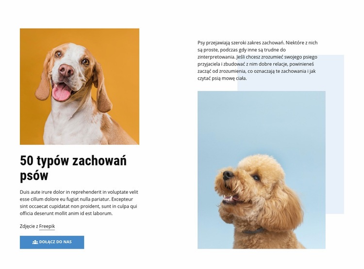 Jakościowe kursy zachowania psów Makieta strony internetowej