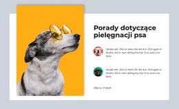 Naprawdę Kocham Zwierzęta