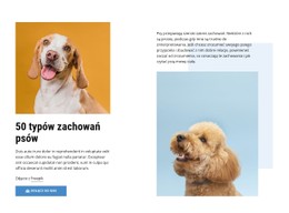 Jakościowe Kursy Zachowania Psów Darmowy Szablon Strony Internetowej CSS