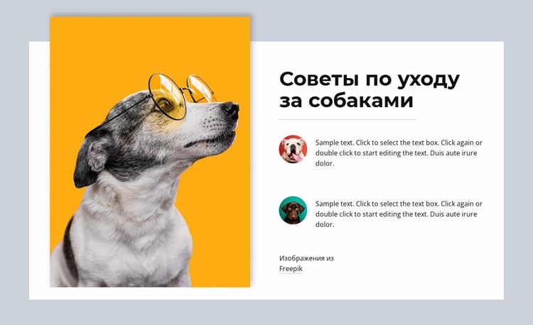 Я очень люблю домашних животных Дизайн сайта