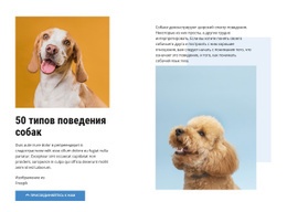 Качественные Курсы Поведения Собак – Функционал Шаблона Joomla