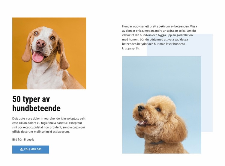 Kurser för hundbeteende av hög kvalitet Hemsidedesign