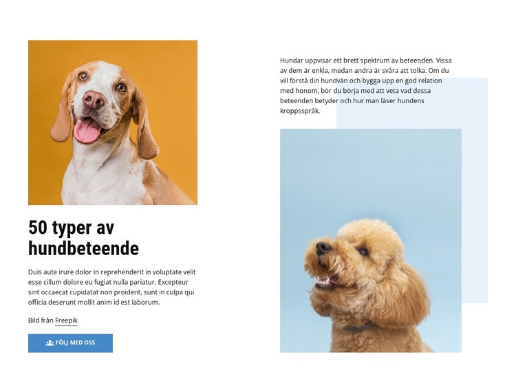 Kurser för hundbeteende av hög kvalitet Webbplats mall