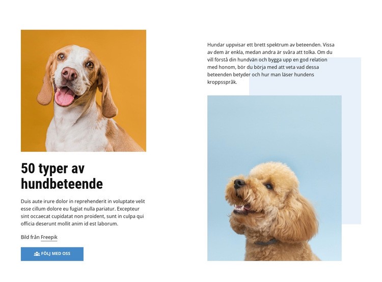 Kurser för hundbeteende av hög kvalitet WordPress -tema