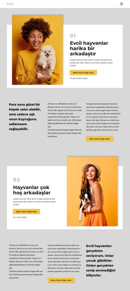 Evcil Hayvanlar Neden Bizi Daha Mutlu Eder? - Web Modeli