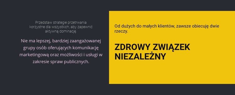 Nagłówki na ciemnym tle Projekt strony internetowej