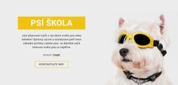 Pozitivní Výcvik Psa – Bezplatné Šablony Motivů Html5