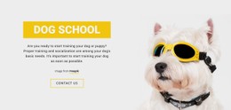 Positive Dog Training Full Width Template