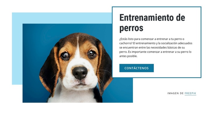 Clases de adiestramiento de perros Maqueta de sitio web