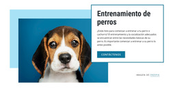 Clases De Adiestramiento De Perros - Descarga De Plantilla HTML