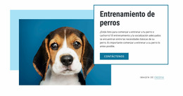 Clases De Adiestramiento De Perros: Plantilla De Sitio Web Joomla