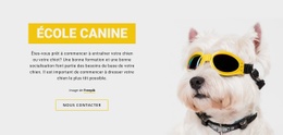 Conception Du Site Pour Formation De Chien Positive