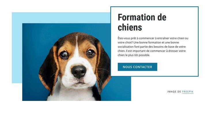 Cours de dressage de chiens Modèles de constructeur de sites Web