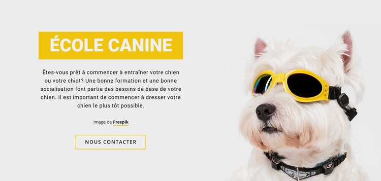 Formation de chien positive Créateur de site Web HTML