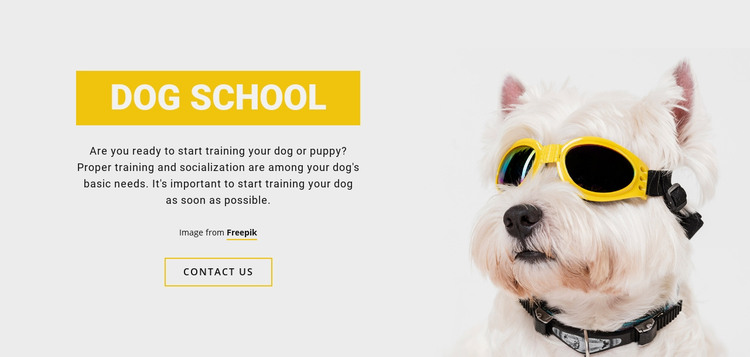 Positive Dog Training Homepage Design