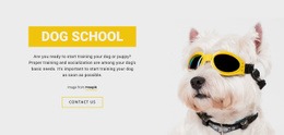 Pozitív Kutyakiképzés - HTML Generator