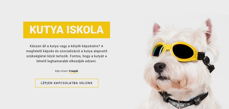 Pozitív kutyakiképzés HTML Sablon