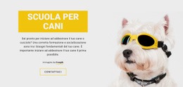 Addestramento Del Cane Positivo - Bellissimo Costruttore Di Siti Web