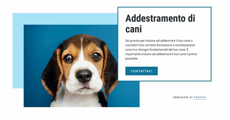 Corsi di addestramento per cani Modelli di Website Builder