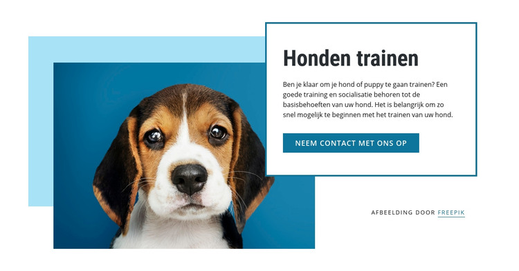 Trainingslessen voor honden HTML-sjabloon