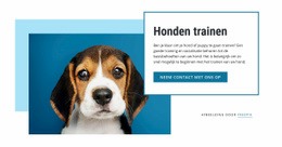 Trainingslessen Voor Honden Html5 Responsieve Sjabloon