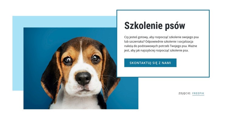 Zajęcia z tresury psów Kreator witryn internetowych HTML