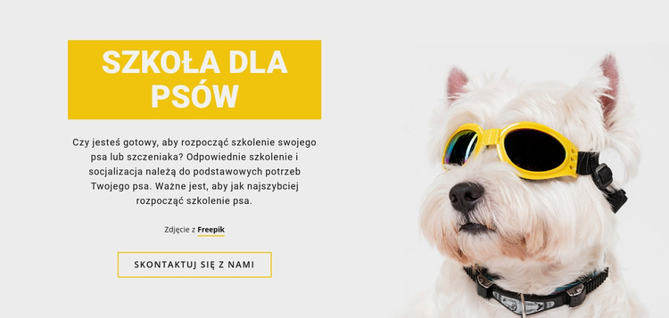Pozytywne szkolenie psów Szablon witryny sieci Web