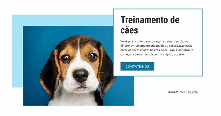 Aulas de treinamento de cães Construtor de sites HTML