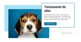 Aulas De Treinamento De Cães