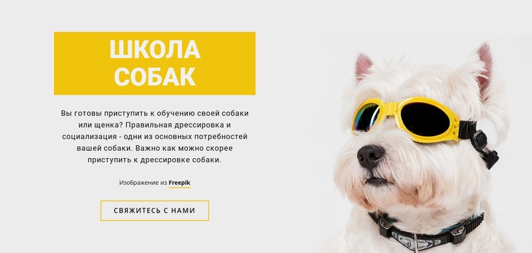 Позитивная дрессировка собак HTML5 шаблон