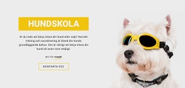 Positiv Hundträning - Nedladdning Av HTML-Mall